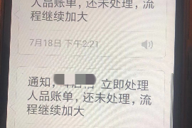 无为要账公司更多成功案例详情